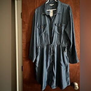 American Eagle Outfitters shirt dress